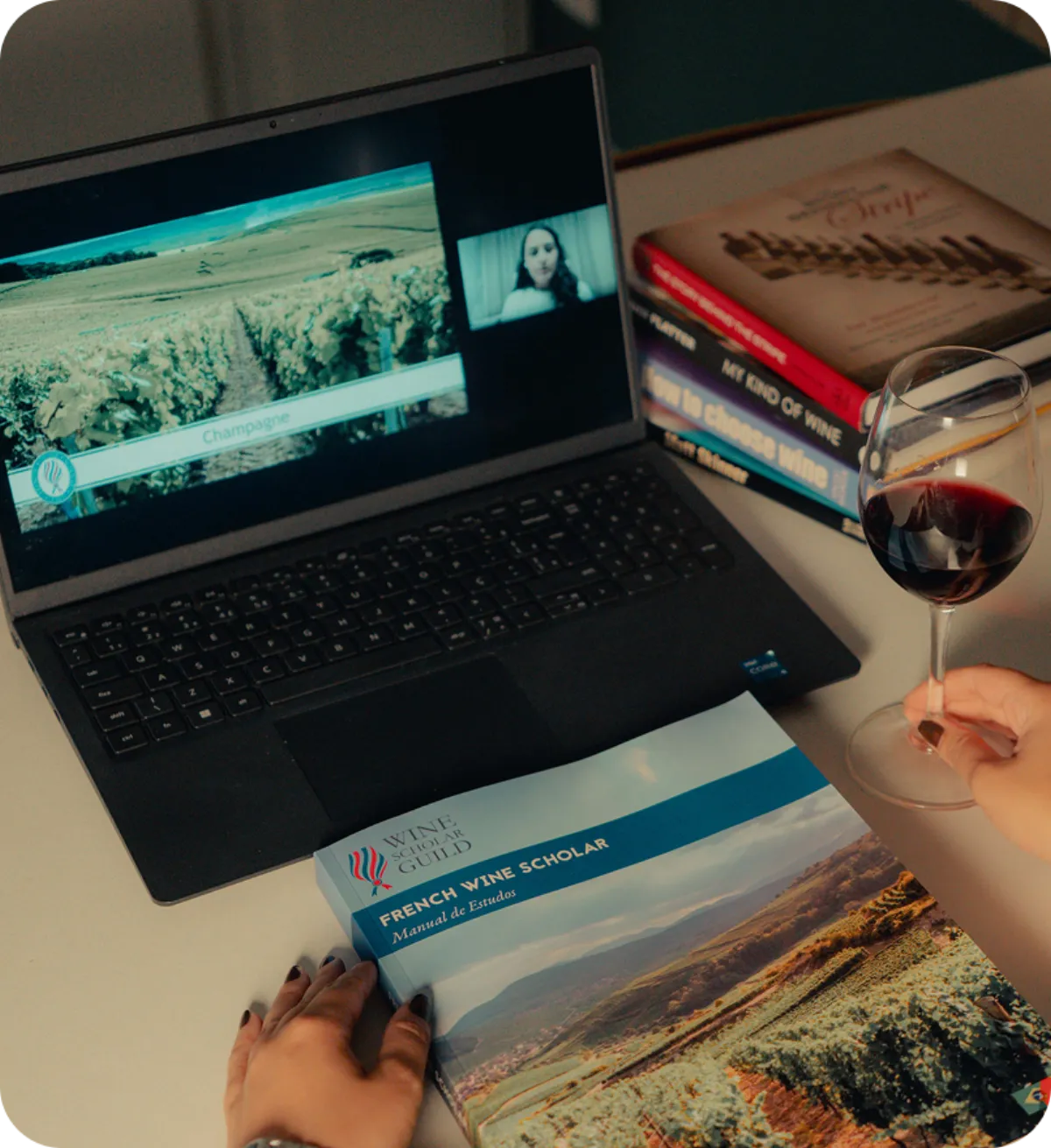 Degustação de vinhos franceses